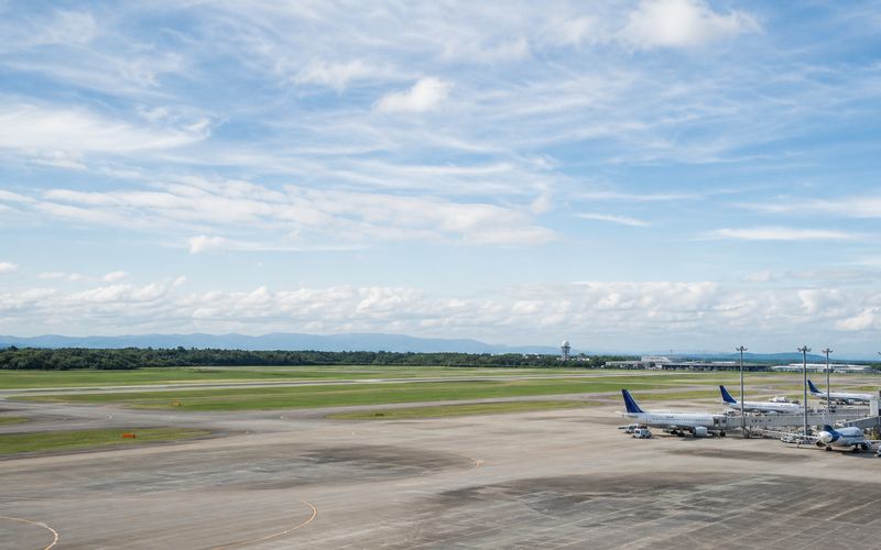 日本の空港の滑走路と駐機中の旅客機