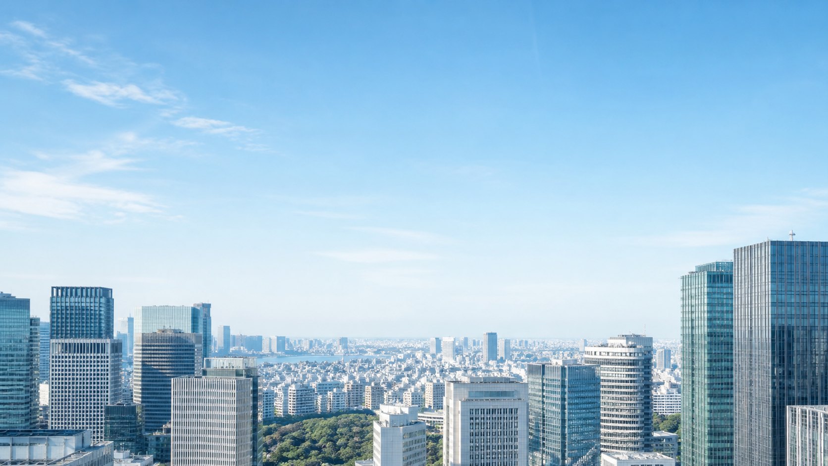 東京の街並みの空撮